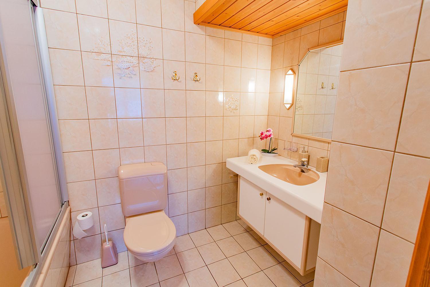 Bergidyll 3 By Alpenidyll Apartments رامساو أم داتشستين المظهر الخارجي الصورة